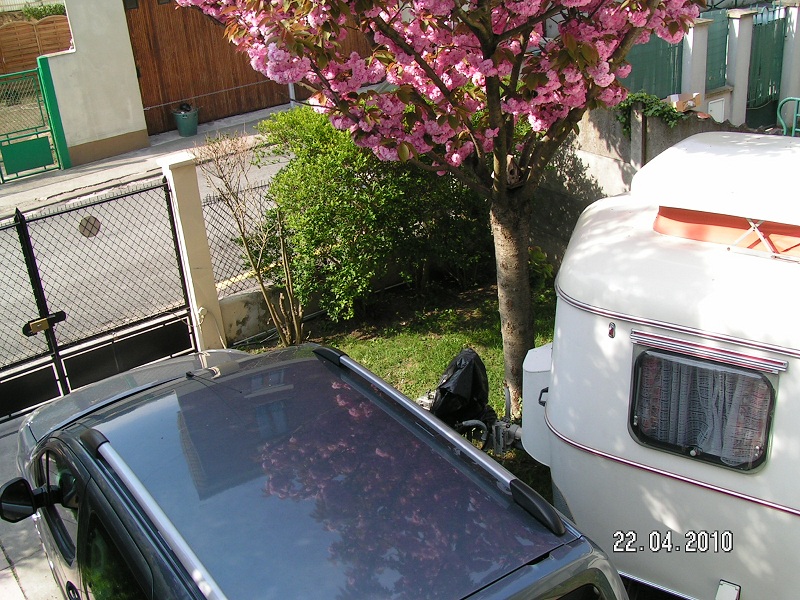 comme vous le constatez, la Toinette et le Berlingo dorment côte à côte dans un mouchoir de poche, et tout ce petit monde sort par ce petit portail...