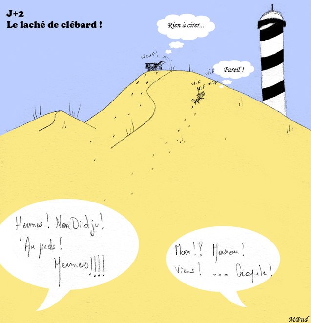 chiens.jpg