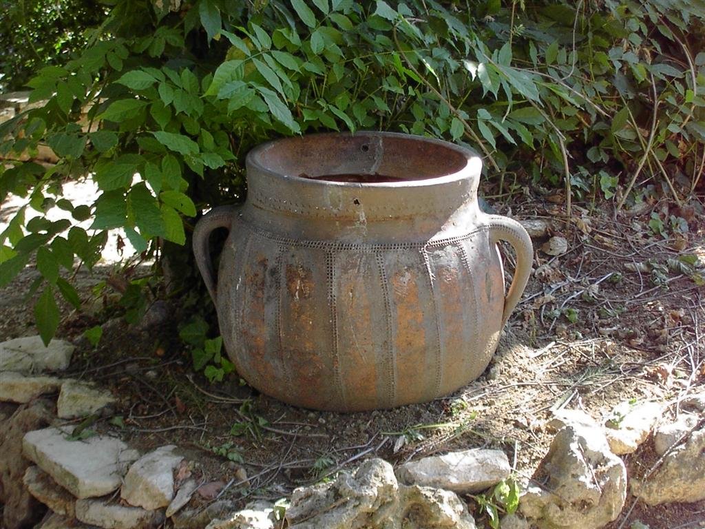 PICT1565 (Large).JPG