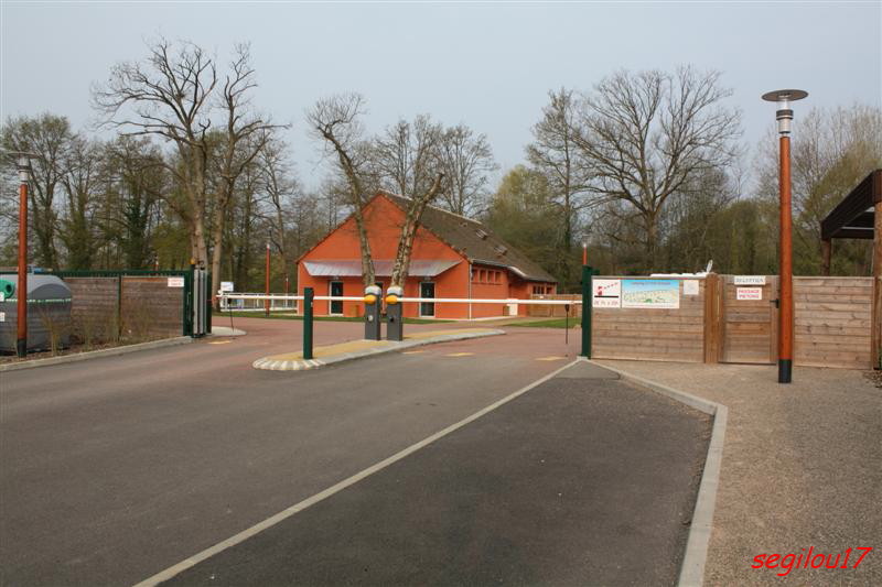 IMG_2522 (Medium).jpg