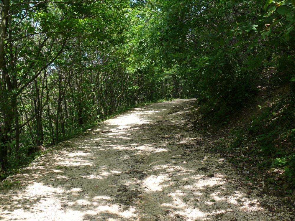 11-Libego_01.JPG