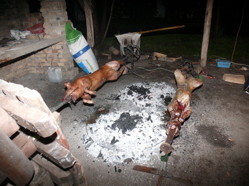 2-Fête au camping_02.jpg