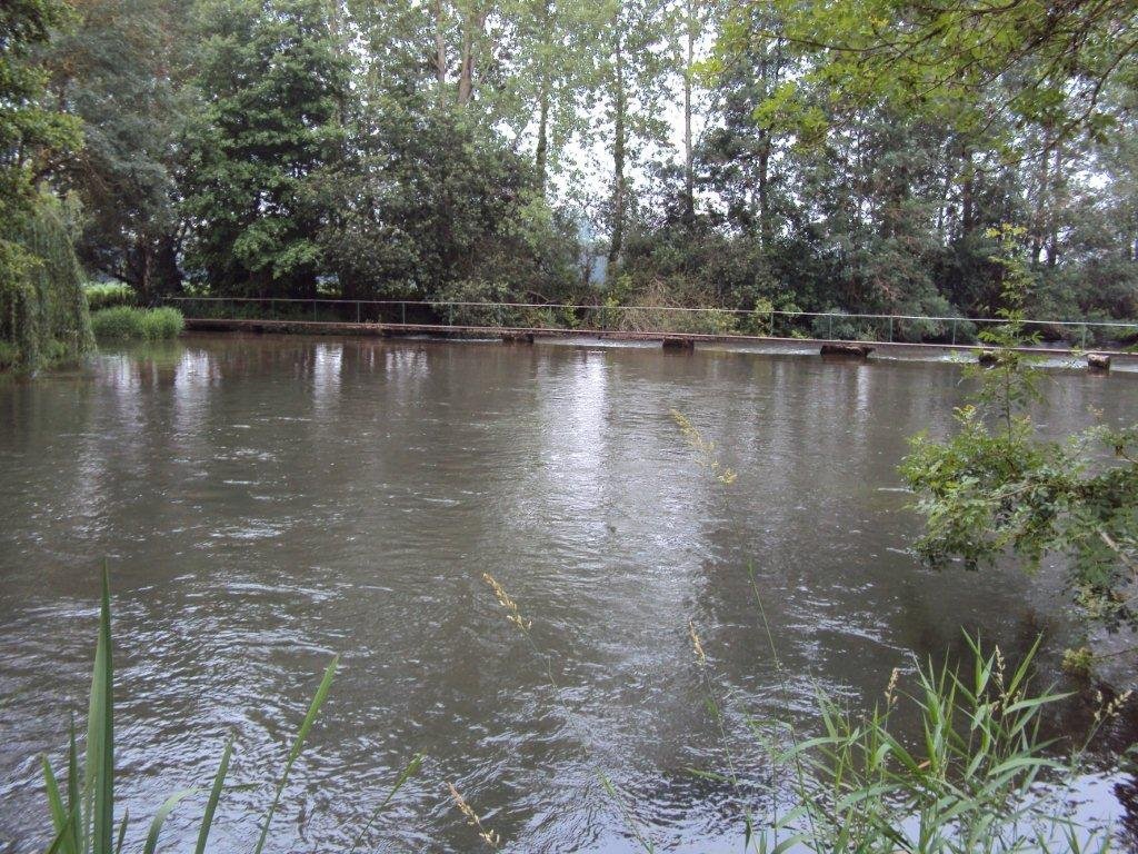 Aunac 0610 007.jpg