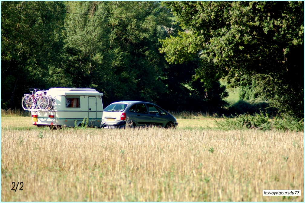 DSC_7260-1 [1000X750].JPG