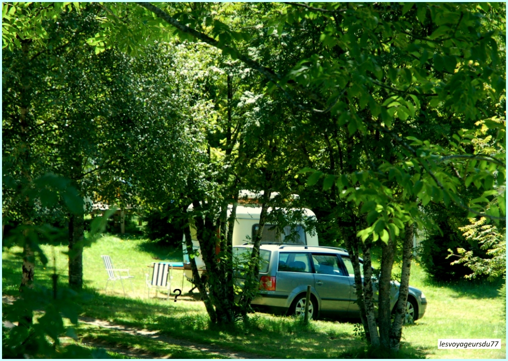 DSC_7414-1 [1000X750].JPG