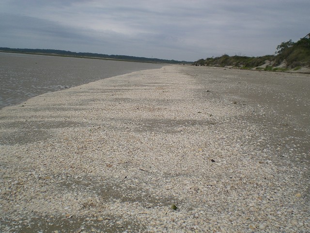 CIMG4479.JPG