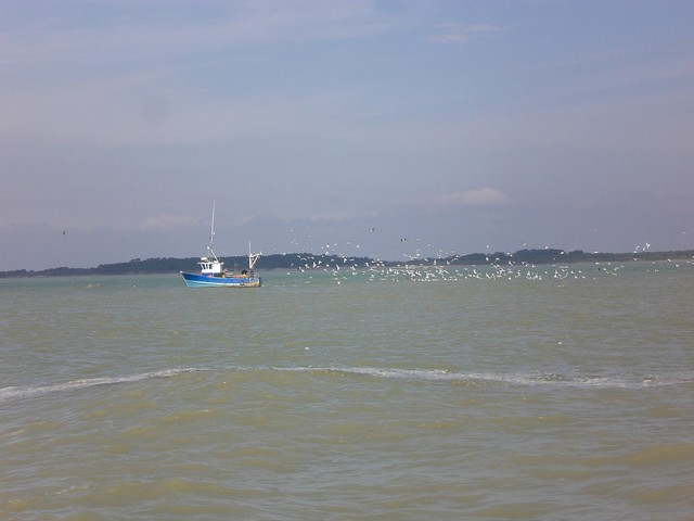 CIMG4557.JPG