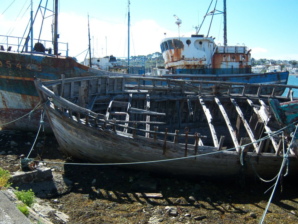 100_2433.jpg
