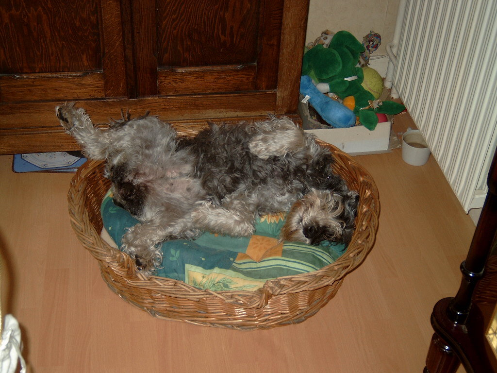 Photo.jpg