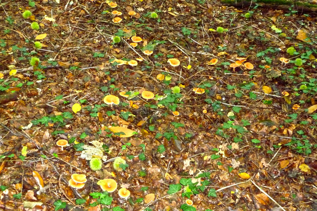 iPhoto-27.jpg