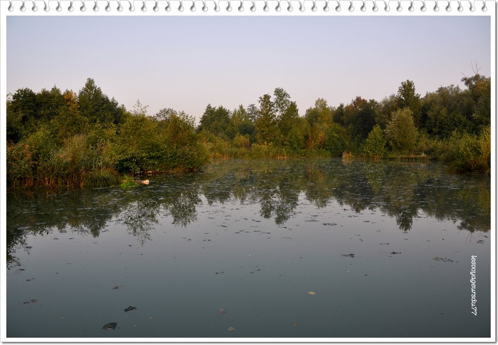 DSC_0460-1.jpg