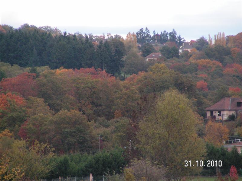 PICT0439 (Medium).JPG