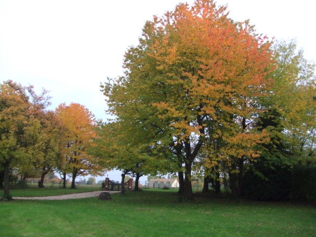 DSCF2827.JPG