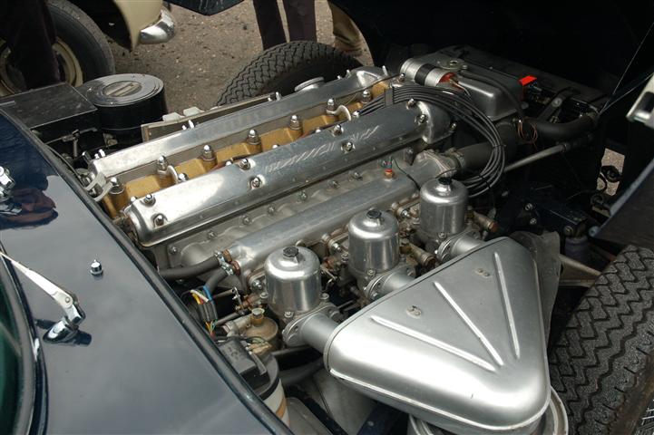 DSC_4617 (Small).JPG