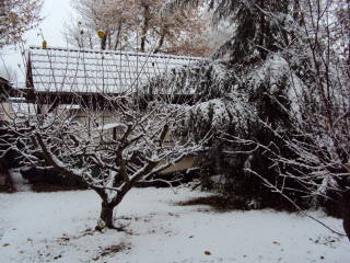 DSC00650.JPG