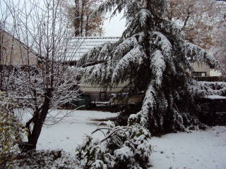 DSC00651.JPG