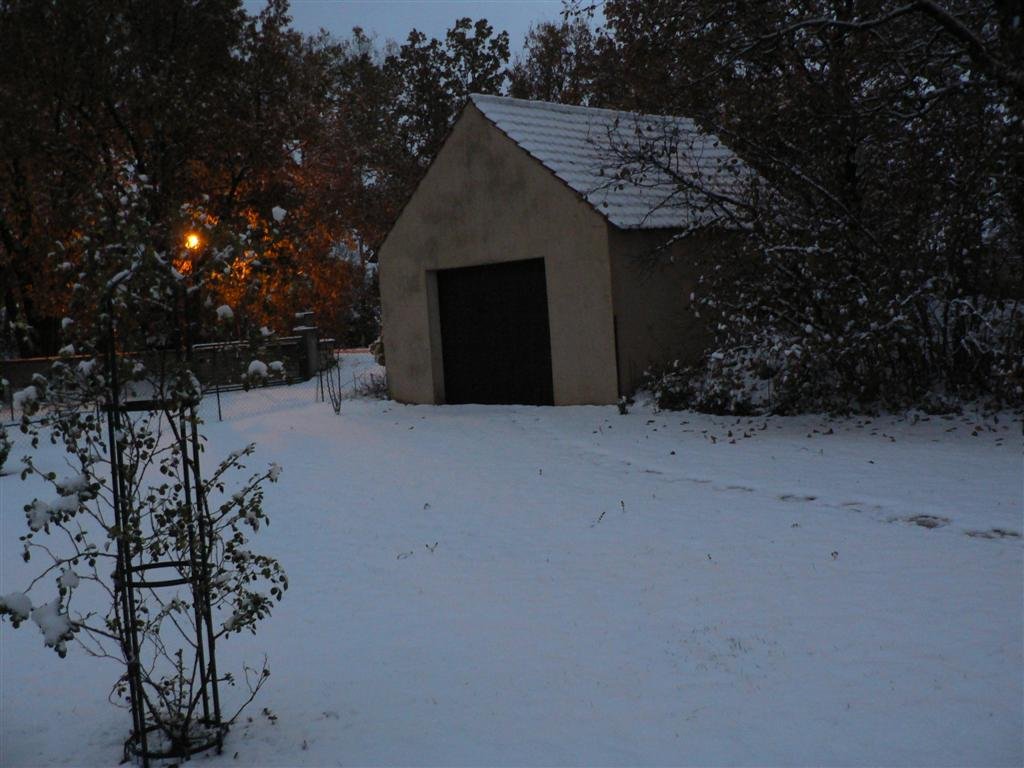 P1040362 (Large).JPG