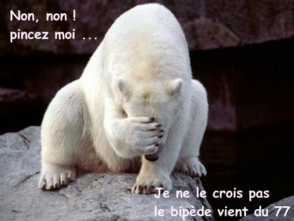 ours77étonné.jpg
