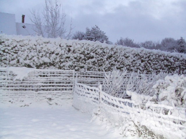DSCF2864.JPG
