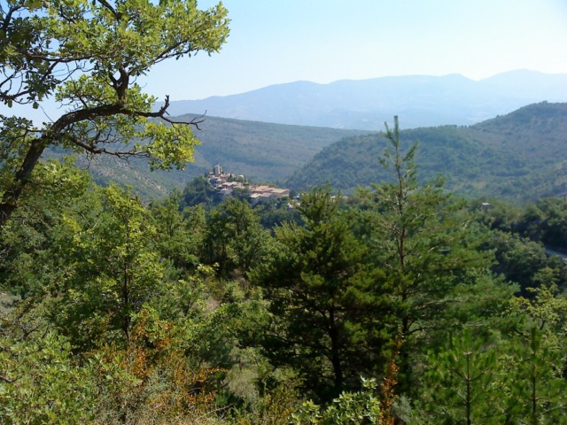 DSC00390.JPG