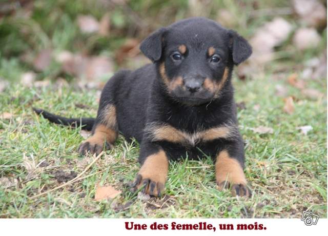 Voilà la petite nouvelle<br />-<br />-