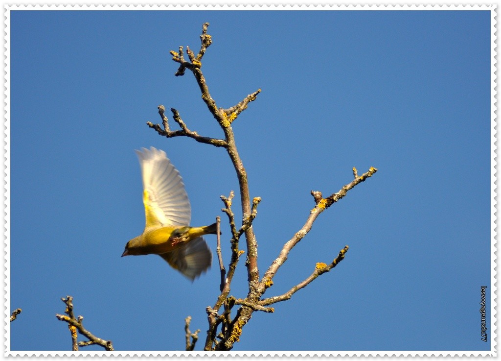 DSC_3087-1 [1024x768].jpg