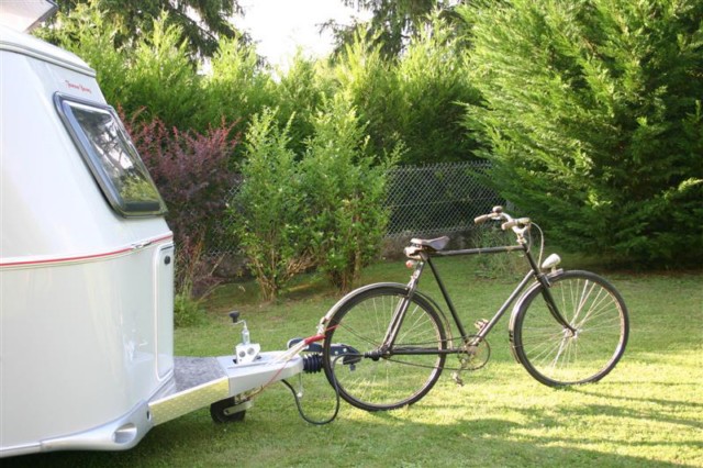 desiree 200609138 (Medium) (2).jpg