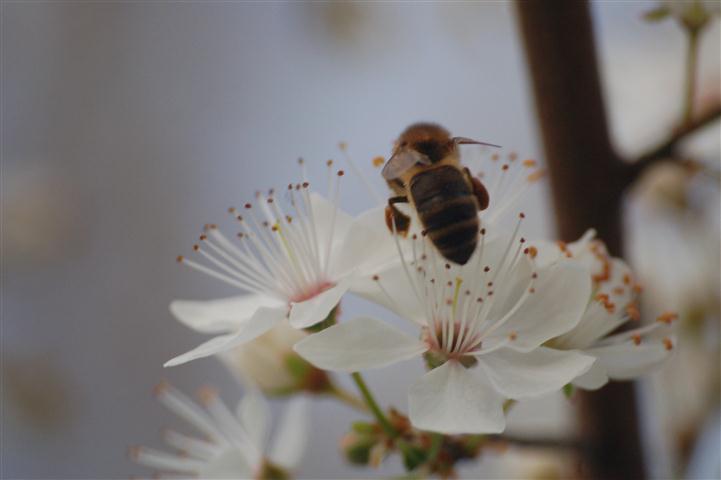 DSC_5385 (Small).JPG