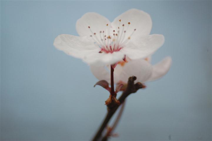 DSC_5377 (Small).JPG