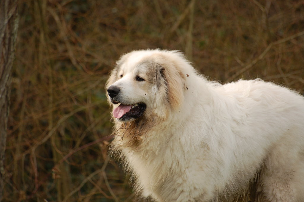 DSC_6827.JPG