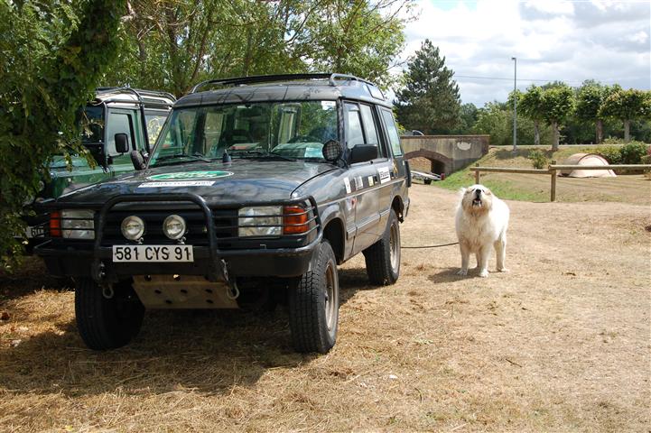 DSC_6974 (Small).JPG