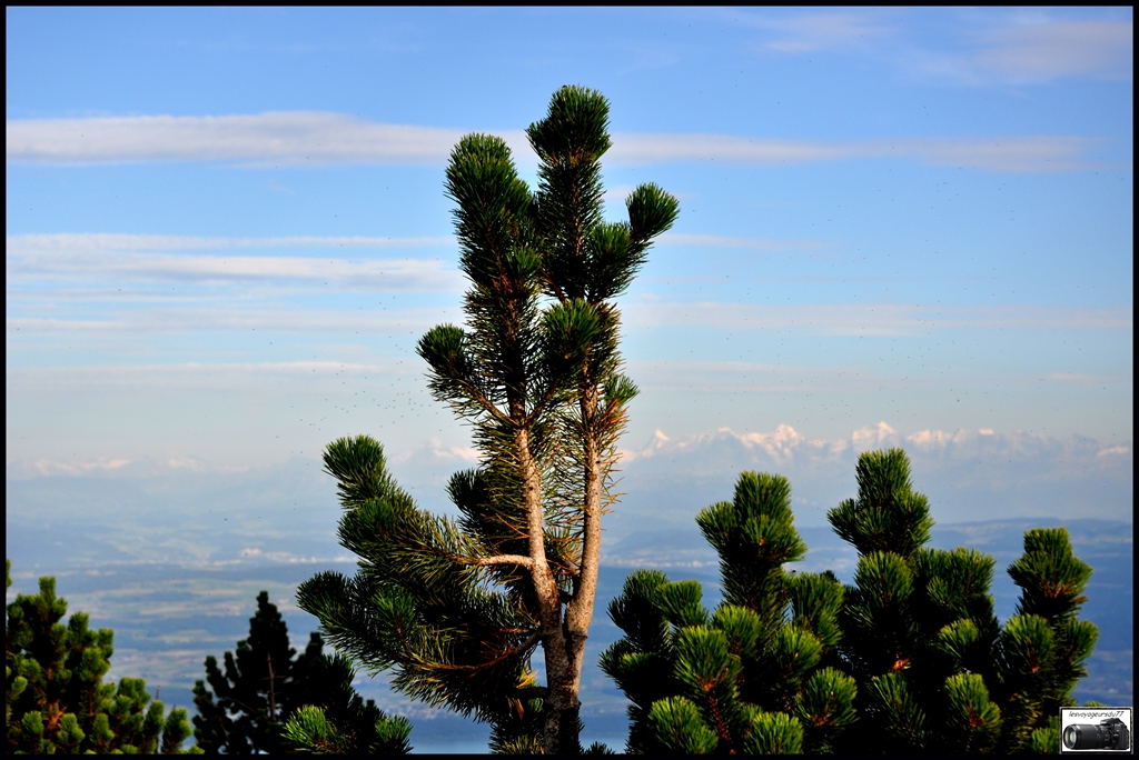 DSC_613 [1024x768].jpg