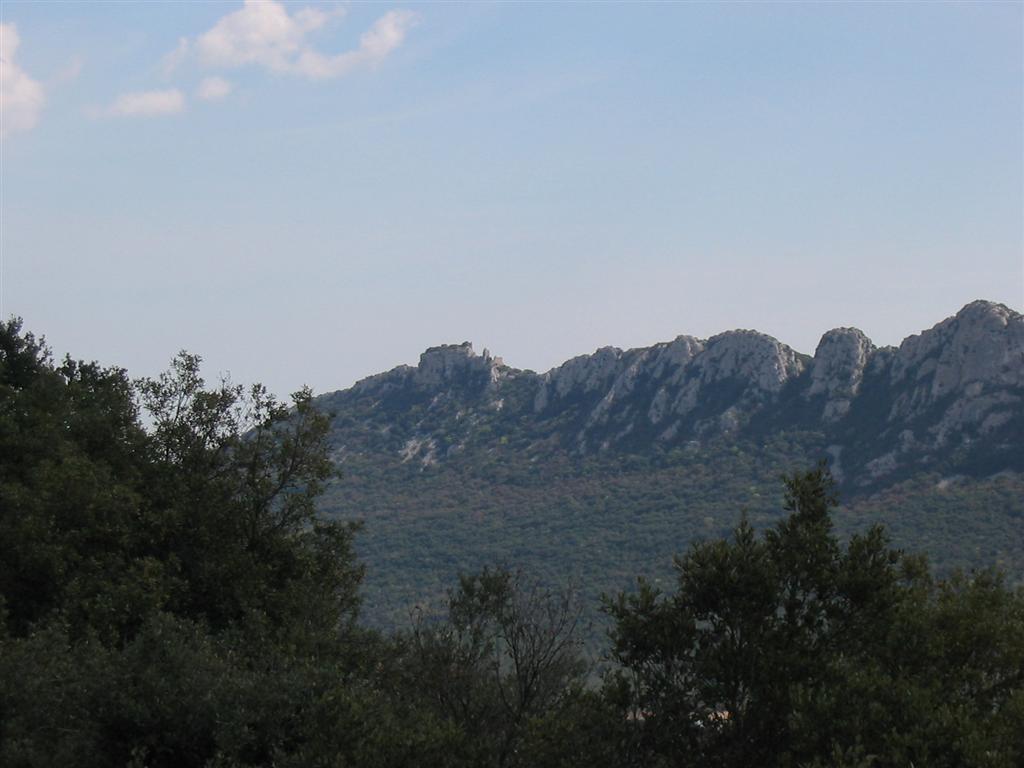 Photo 009 (Large).jpg