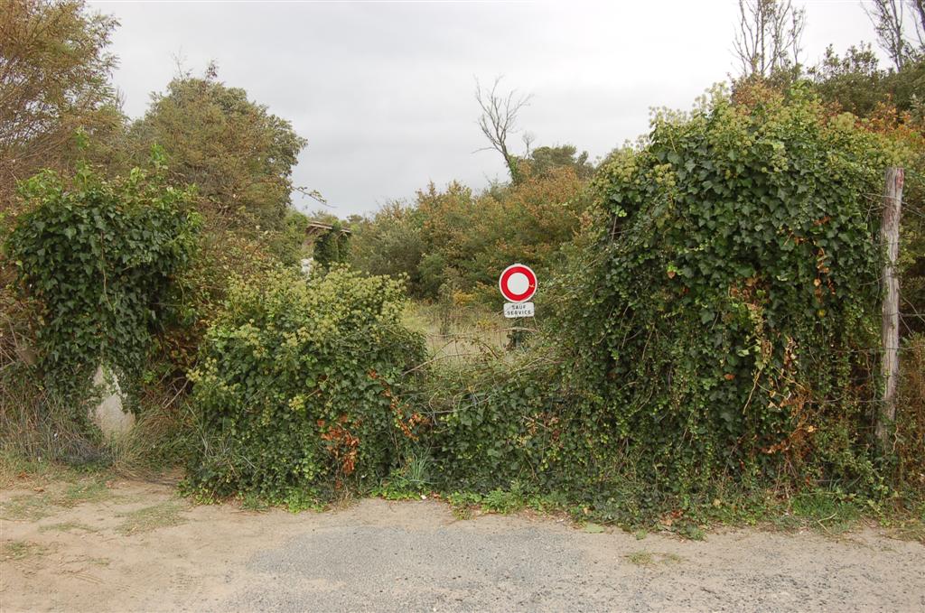 Bretagne (56) (Large).jpg