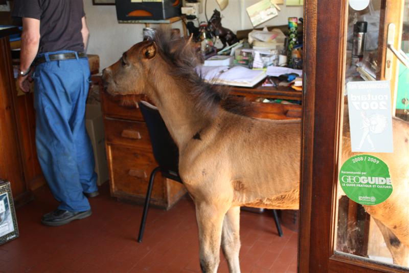 IMG_4639 (Medium).JPG