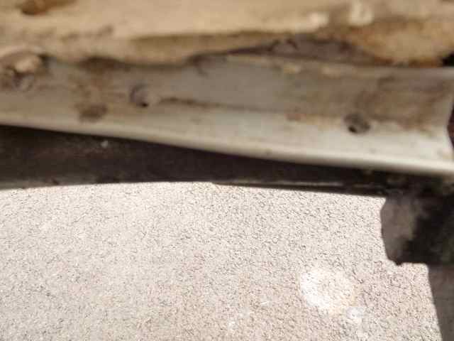 P1030105.jpg