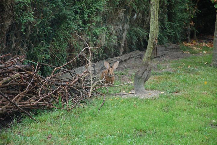 DSC_8018 (Small).JPG