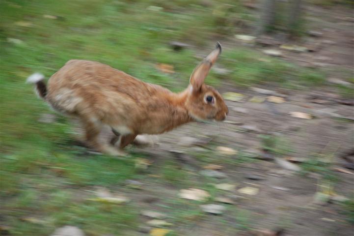 DSC_8031 (Small).JPG