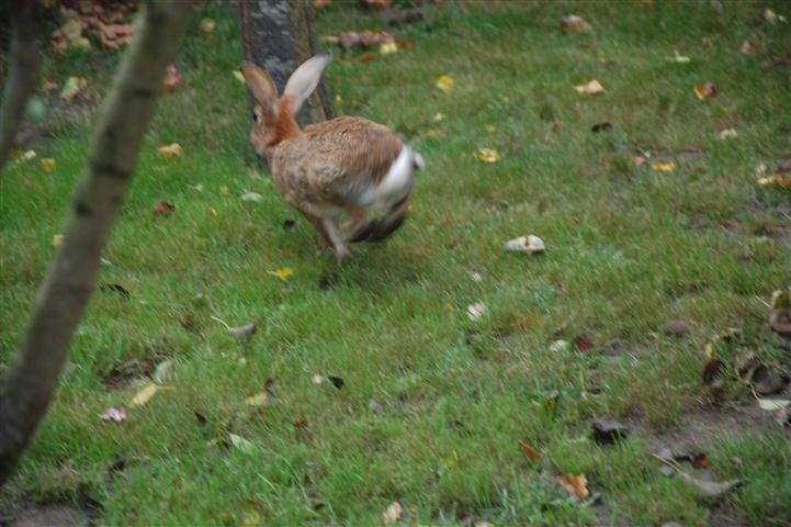 DSC_8036 (Small).JPG