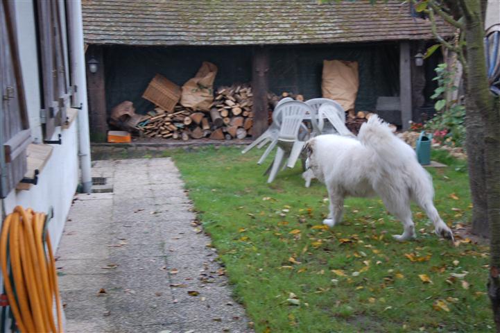 DSC_8037 (Small).JPG