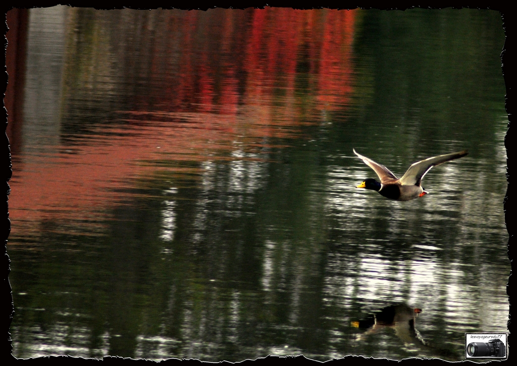 015-1 [1024x768].jpg