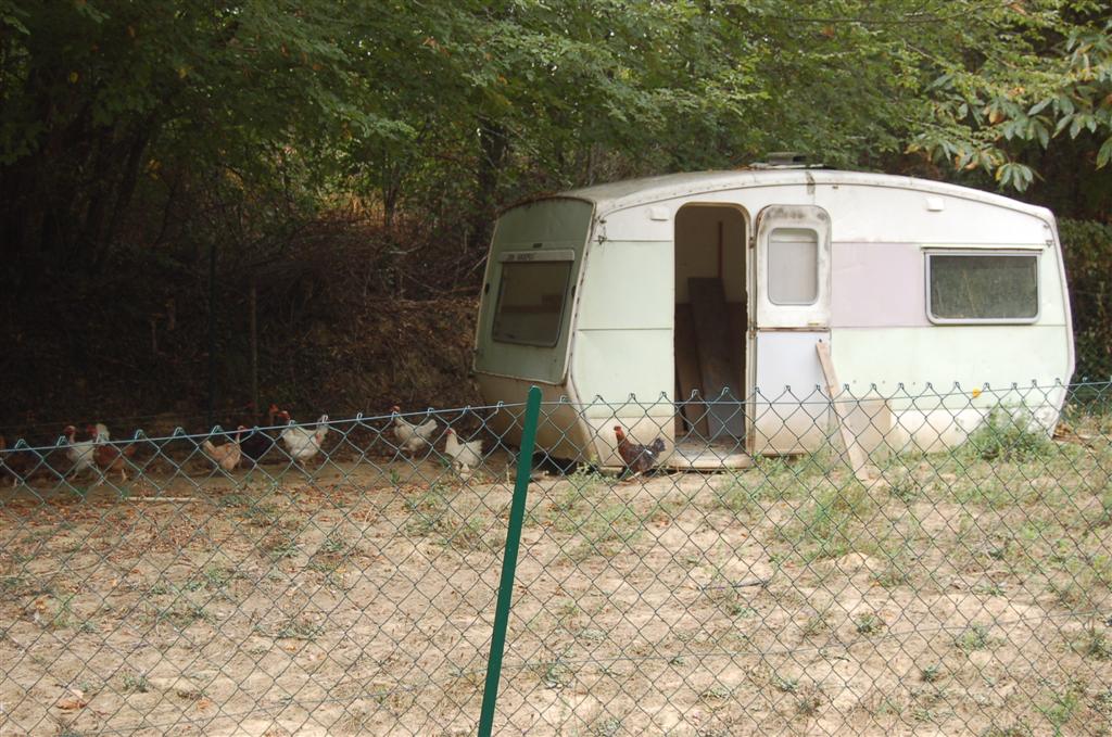 Poulailler surbaissé... 037 (Large) (2).jpg