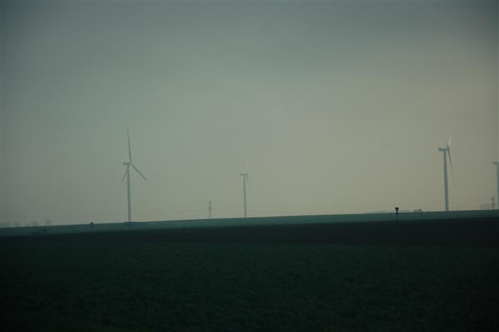 DSC_8246 (Small).JPG