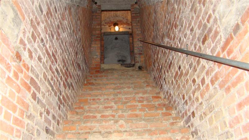 DSC02859 (Medium).JPG