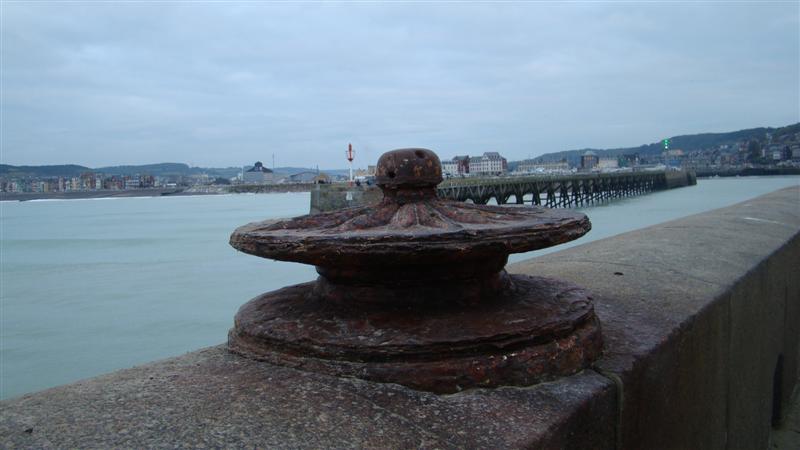 DSC02986 (Medium).JPG