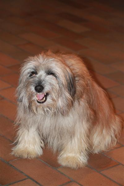 Dis pas de mal de mon maitre, je montre les dents ! Mais non c'est pour rire !