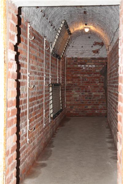 IMG_0420 (Medium).JPG