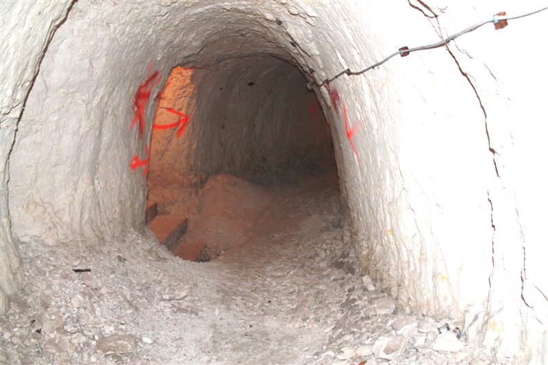 IMG_0486 (Medium).JPG