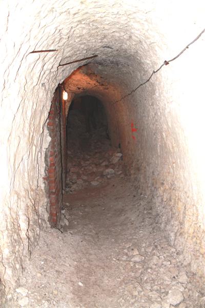 IMG_0487 (Medium).JPG