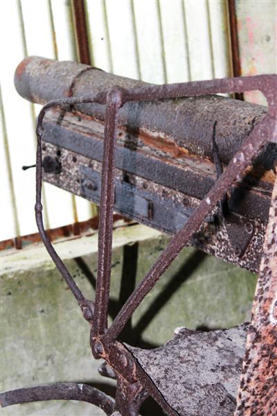 IMG_0468 (Medium).JPG